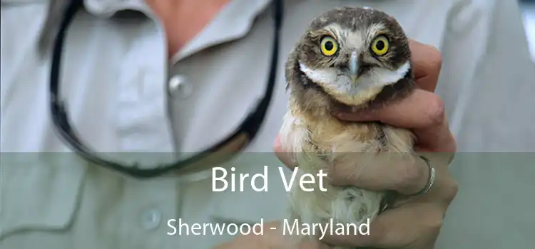 Bird Vet Sherwood - Maryland