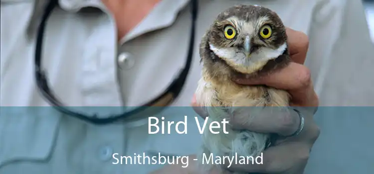 Bird Vet Smithsburg - Maryland