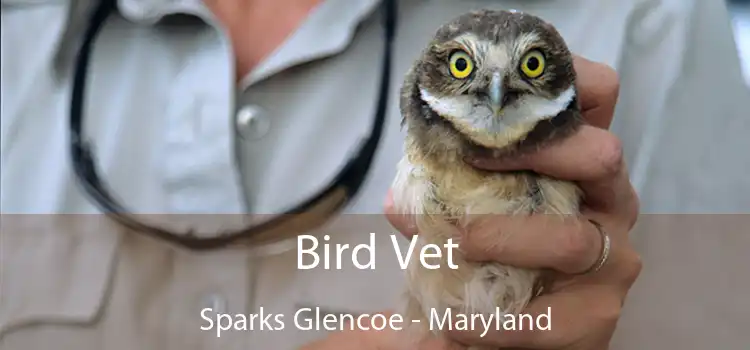 Bird Vet Sparks Glencoe - Maryland