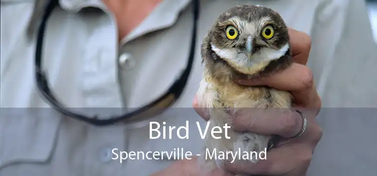 Bird Vet Spencerville - Maryland