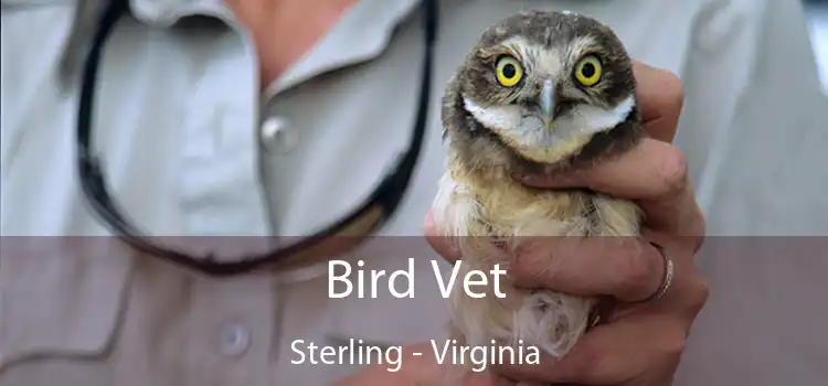 Bird Vet Sterling - Virginia