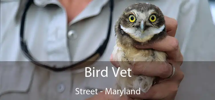 Bird Vet Street - Maryland
