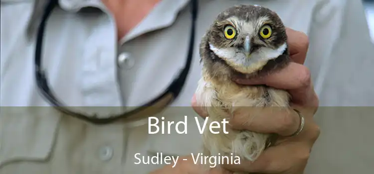 Bird Vet Sudley - Virginia