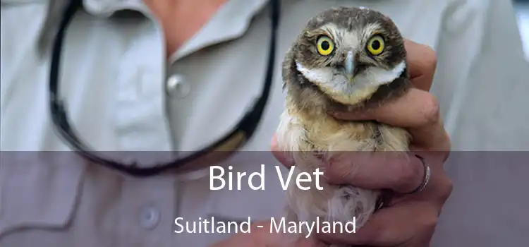 Bird Vet Suitland - Maryland