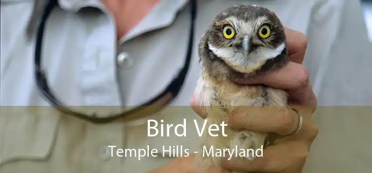 Bird Vet Temple Hills - Maryland