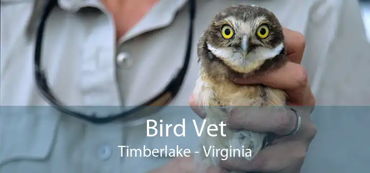 Bird Vet Timberlake - Virginia