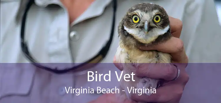 Bird Vet Virginia Beach - Virginia