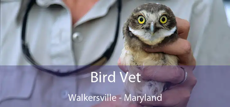 Bird Vet Walkersville - Maryland