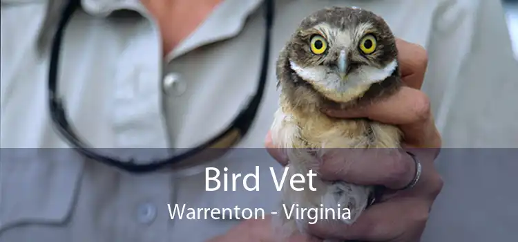 Bird Vet Warrenton - Virginia