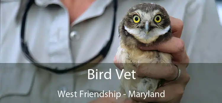 Bird Vet West Friendship - Maryland