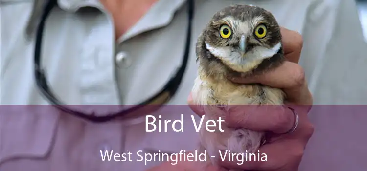 Bird Vet West Springfield - Virginia
