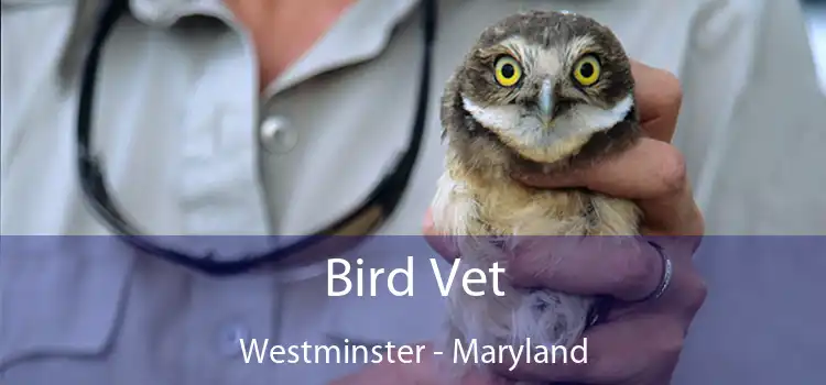 Bird Vet Westminster - Maryland