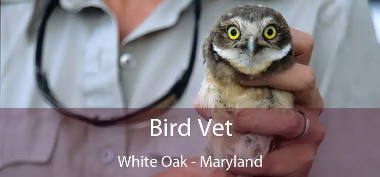 Bird Vet White Oak - Maryland