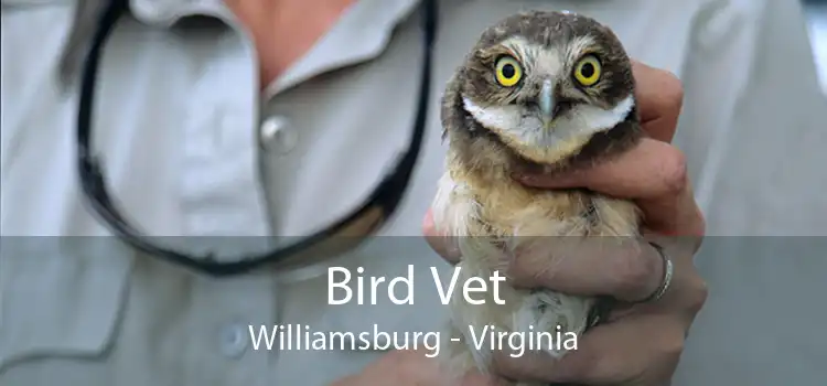 Bird Vet Williamsburg - Virginia