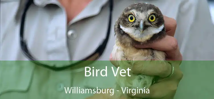 Bird Vet Williamsburg - Virginia