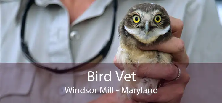 Bird Vet Windsor Mill - Maryland