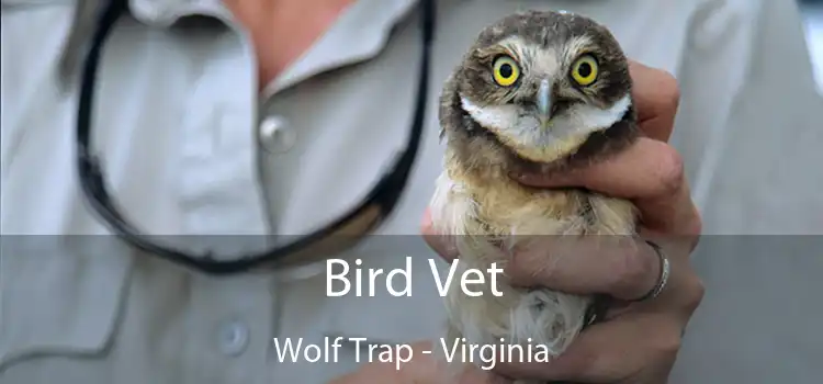 Bird Vet Wolf Trap - Virginia