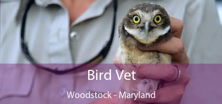 Bird Vet Woodstock - Maryland