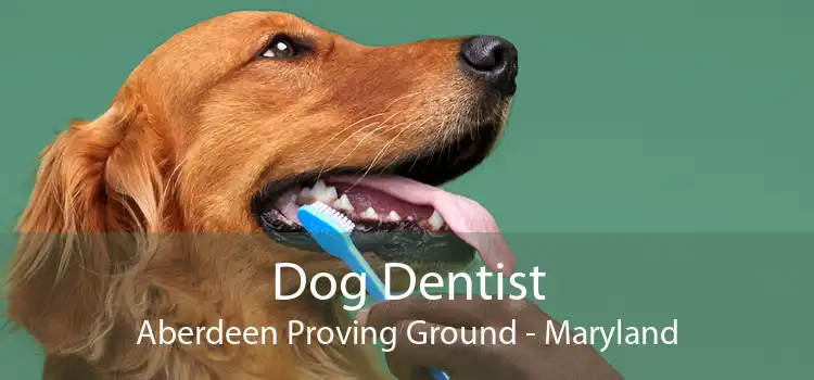 Dog Dentist Aberdeen Proving Ground - Maryland