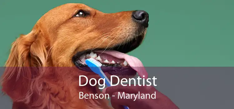 Dog Dentist Benson - Maryland