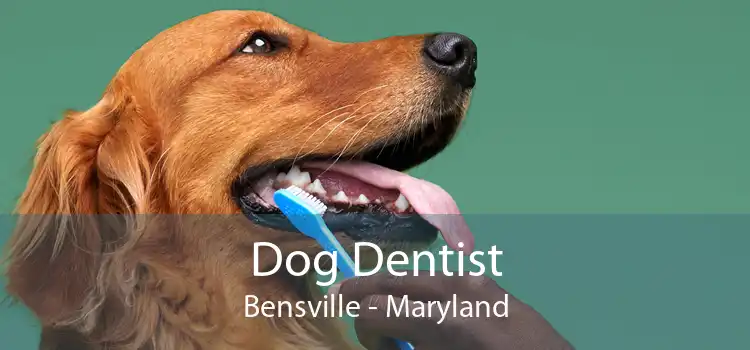 Dog Dentist Bensville - Maryland