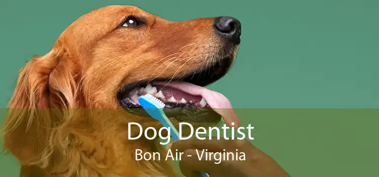 Dog Dentist Bon Air - Virginia