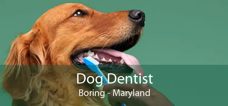Dog Dentist Boring - Maryland