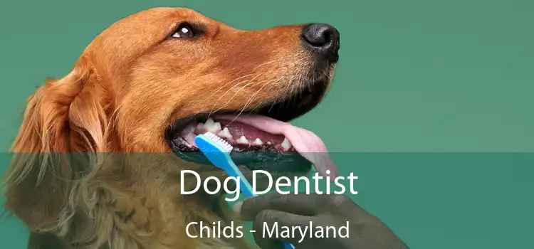 Dog Dentist Childs - Maryland