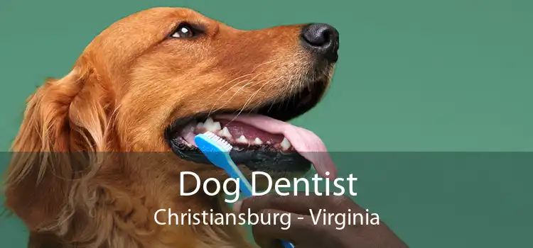 Dog Dentist Christiansburg - Virginia