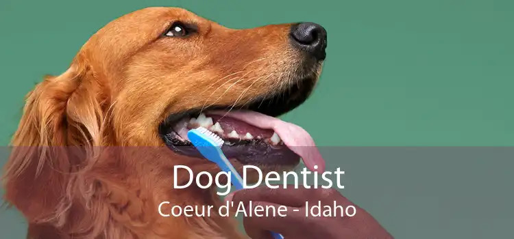 Dog Dentist Coeur d'Alene - Idaho