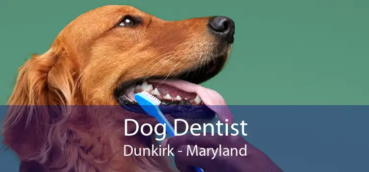 Dog Dentist Dunkirk - Maryland