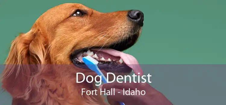 Dog Dentist Fort Hall - Idaho