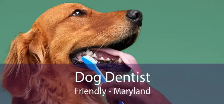 Dog Dentist Friendly - Maryland