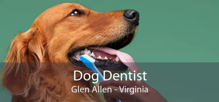 Dog Dentist Glen Allen - Virginia