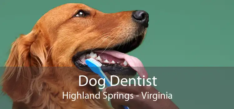 Dog Dentist Highland Springs - Virginia