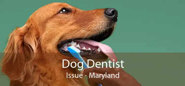 Dog Dentist Issue - Maryland