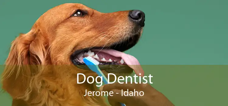 Dog Dentist Jerome - Idaho