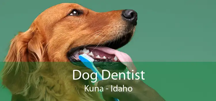 Dog Dentist Kuna - Idaho