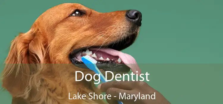 Dog Dentist Lake Shore - Maryland