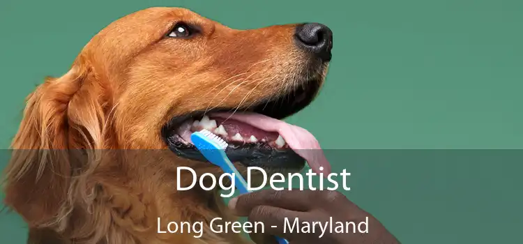 Dog Dentist Long Green - Maryland