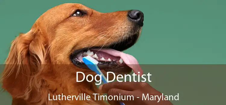Dog Dentist Lutherville Timonium - Maryland