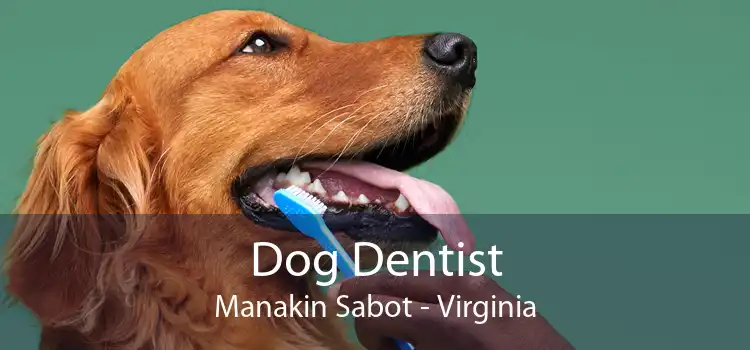 Dog Dentist Manakin Sabot - Virginia