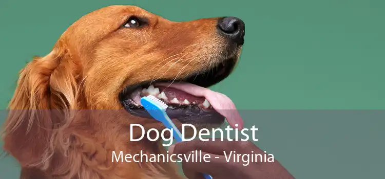 Dog Dentist Mechanicsville - Virginia
