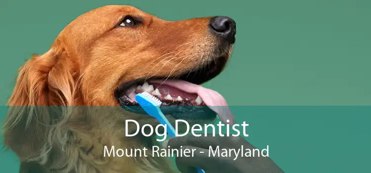 Dog Dentist Mount Rainier - Maryland