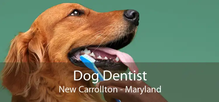Dog Dentist New Carrollton - Maryland