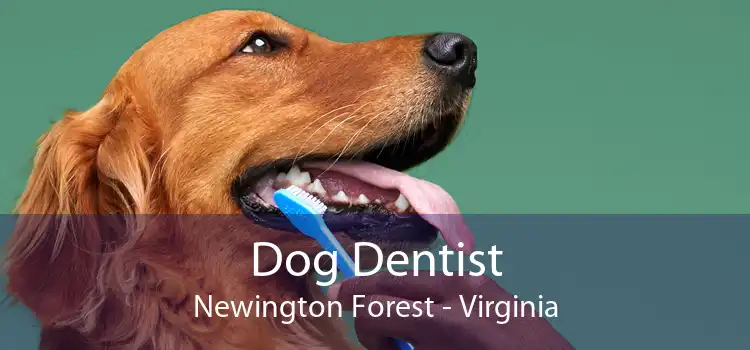 Dog Dentist Newington Forest - Virginia