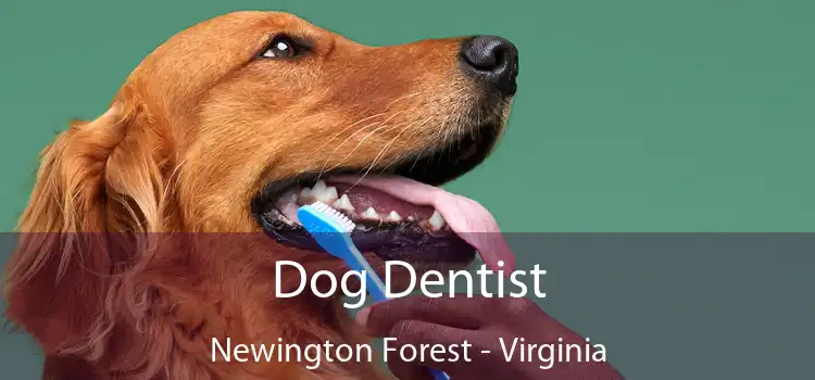 Dog Dentist Newington Forest - Virginia