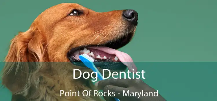 Dog Dentist Point Of Rocks - Maryland