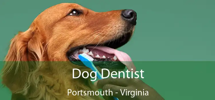 Dog Dentist Portsmouth - Virginia