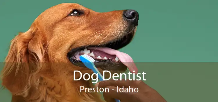 Dog Dentist Preston - Idaho